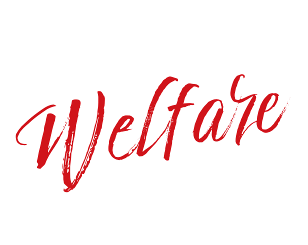 welfare